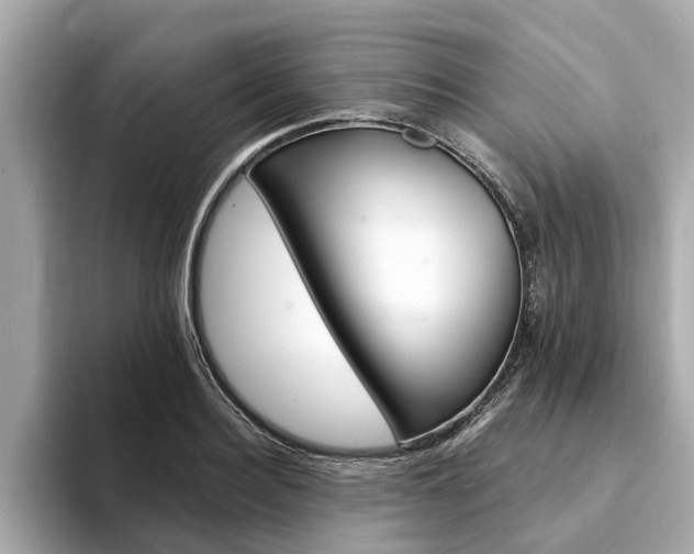 X0000094330940200711021128
