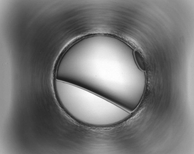X0000094330942200711021128