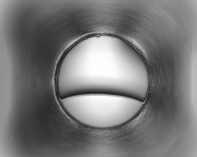 X0000094330943200711021128