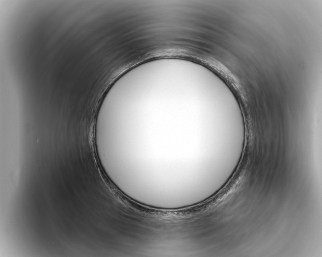 X0000094330945200711021128