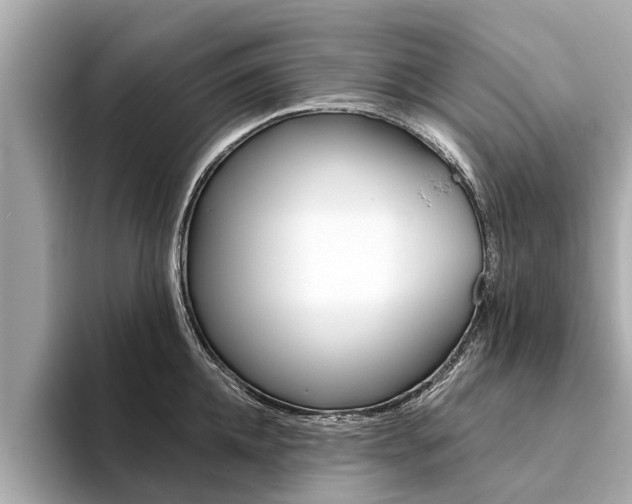 X0000094330952200711021129