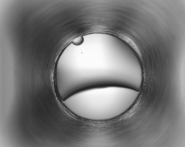 X0000094330954200711021129