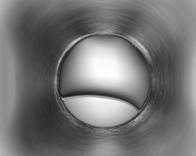 X0000094330956200711021129