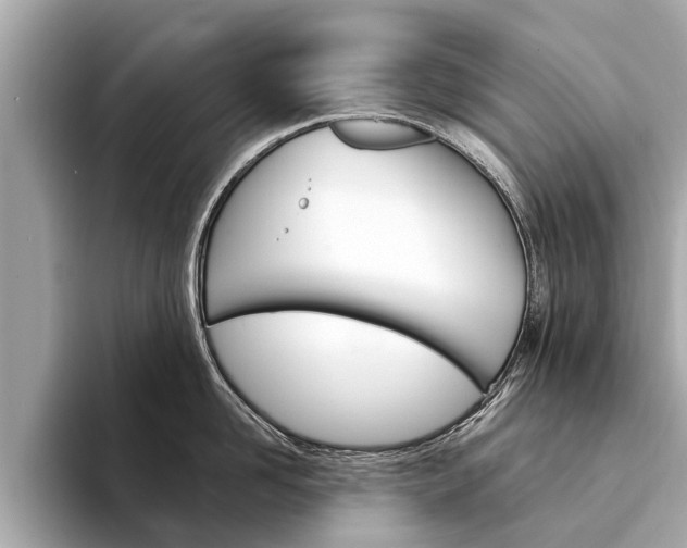 X0000094330958200711021129