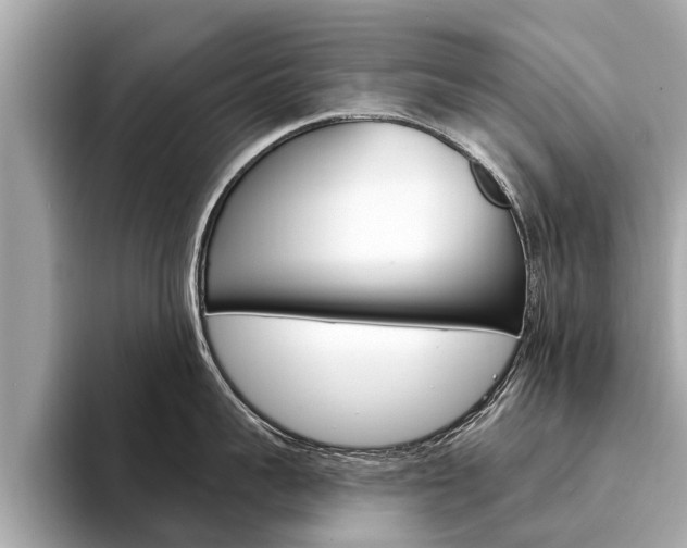 X0000094330959200711021129