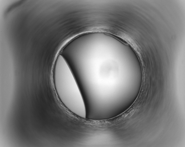 X0000094330960200711021129