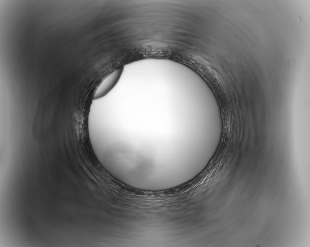 X0000094330964200711021128