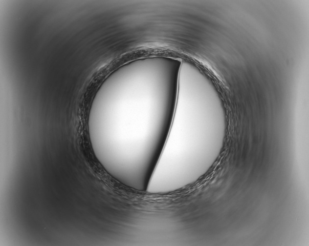 X0000094330967200711021128