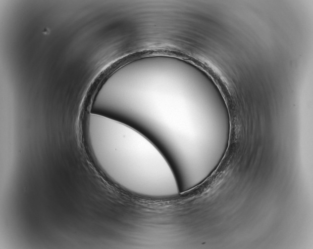 X0000094330975200711021128