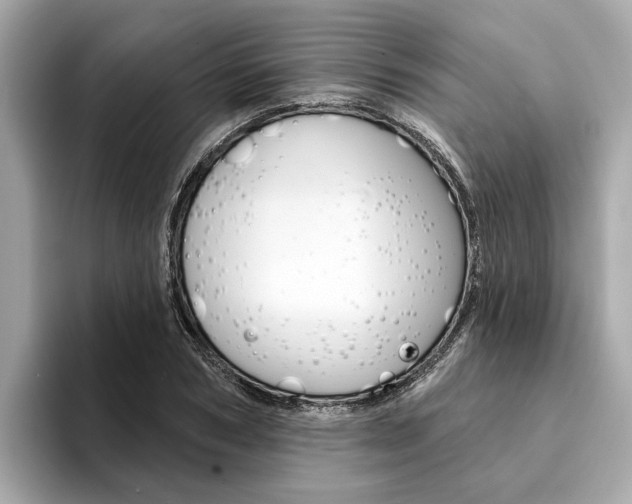 X0000094330978200711021128