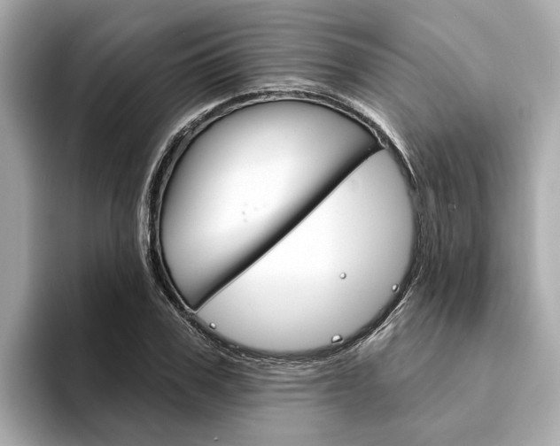 X0000094330979200711021128