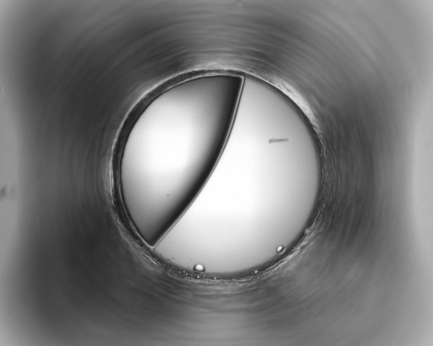 X0000094330980200711021128