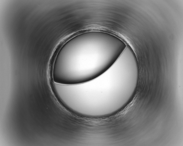 X0000094330987200711021128