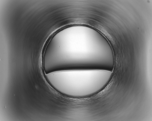 X0000094330988200711021128