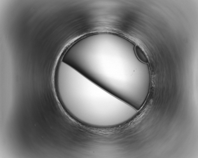 X0000094330995200711021128