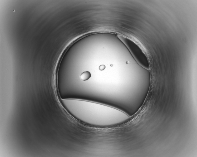 X0000094330996200711021128