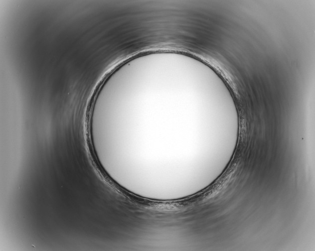 X0000094330998200711021128