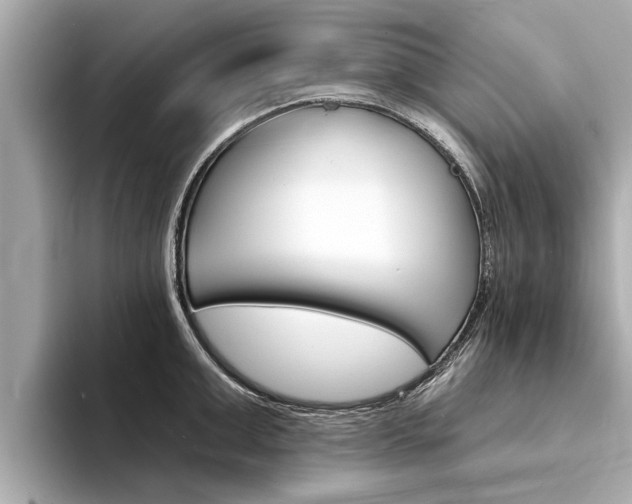 X0000094330999200711021128