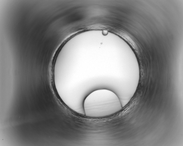 X0000094331000200711021128