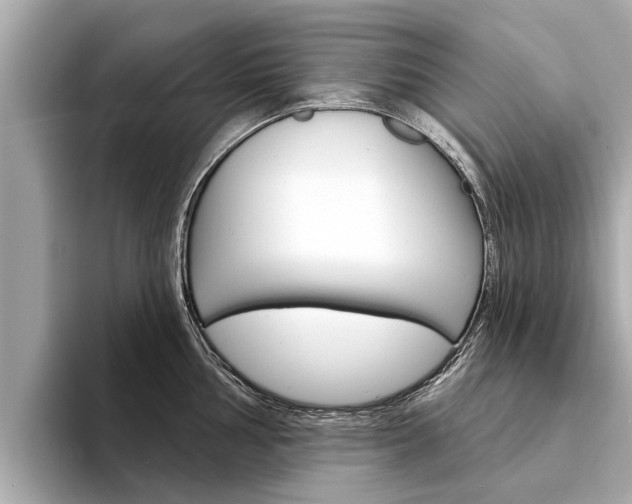 X0000094331002200711021128