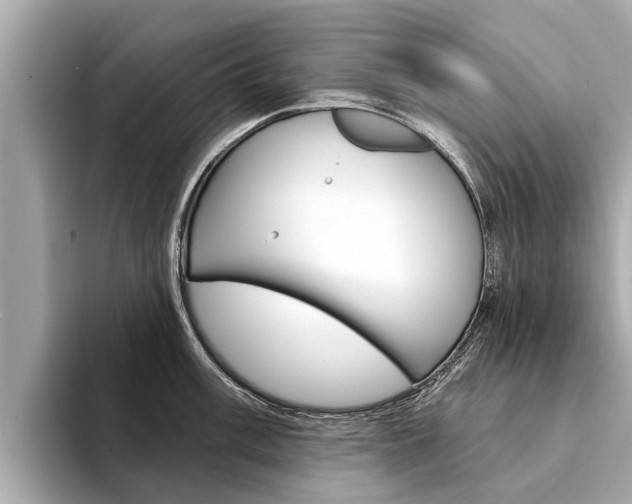 X0000094331003200711021128