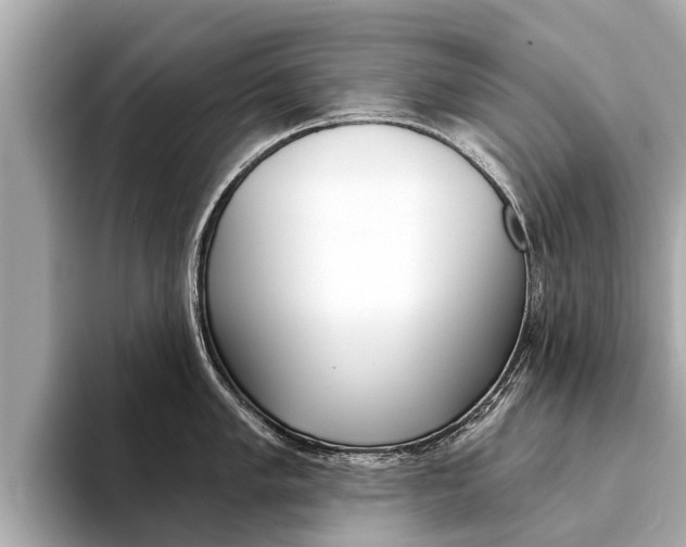 X0000094331005200711021128