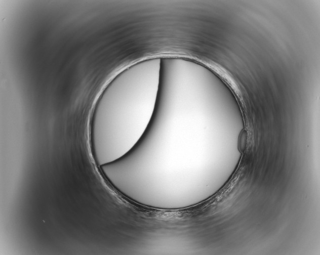 X0000094331006200711021128