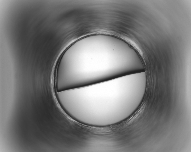 X0000094331007200711021127