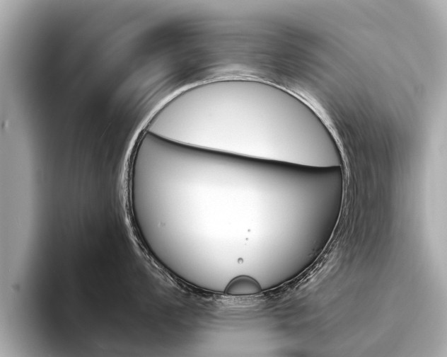 X0000094331008200711021127