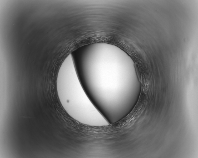 X0000094331010200711021127