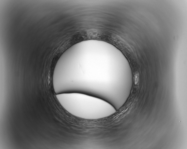 X0000094331011200711021127