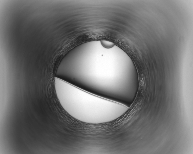 X0000094331012200711021127