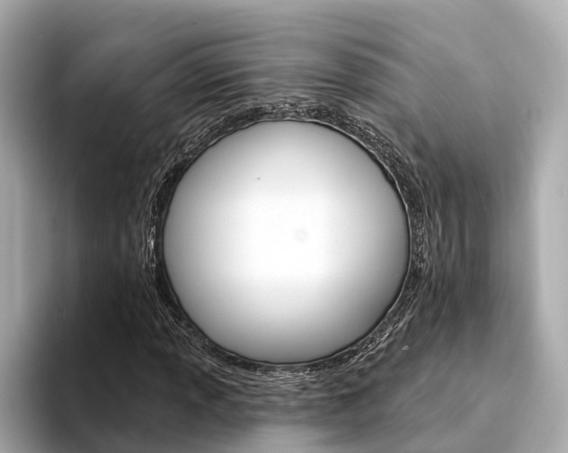 X0000094331013200711021127