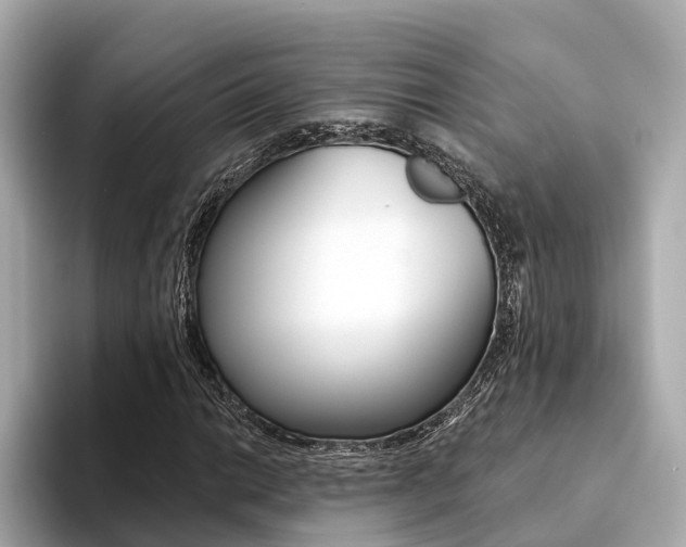 X0000094331014200711021127