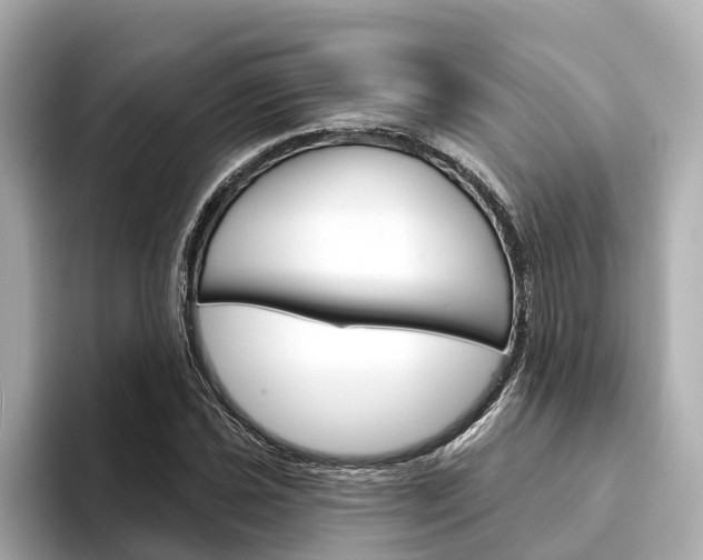 X0000094331021200711021127