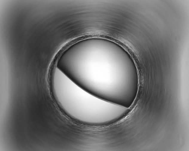 X0000094331022200711021127