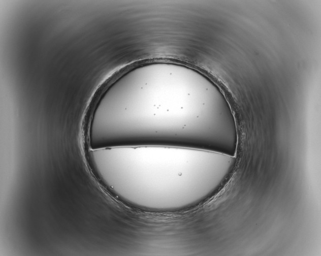 X0000094331024200711021127