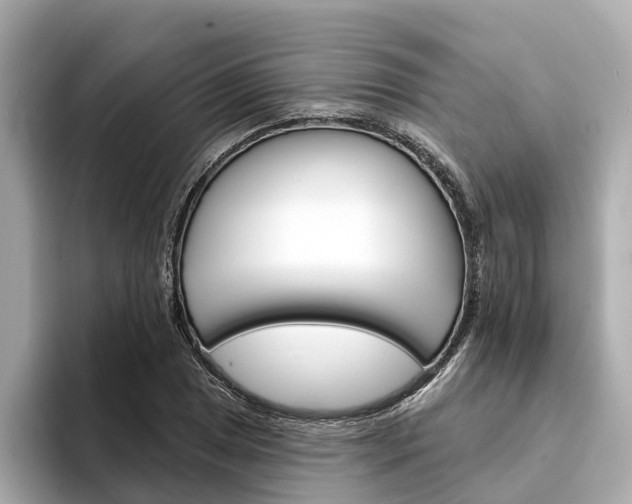 X0000094331025200711021127