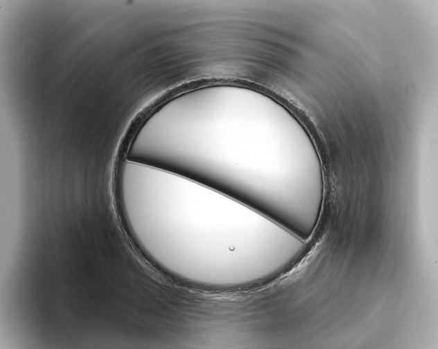 X0000094331029200711021127