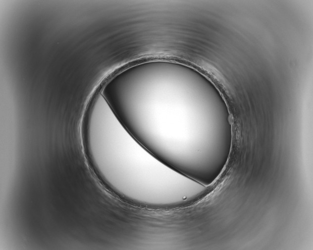 X0000094331030200711021127