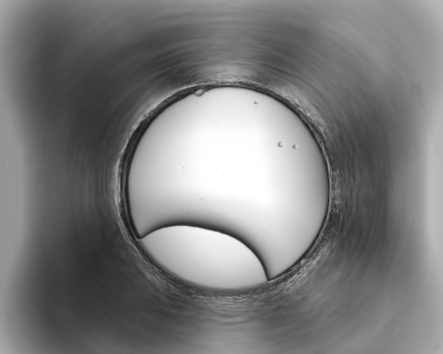 X0000094331031200711021127