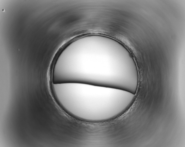 X0000094331032200711021127
