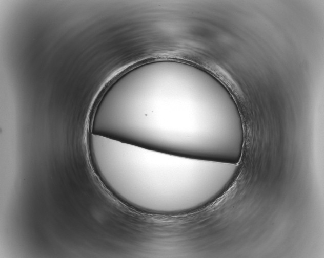 X0000094331036200711021127