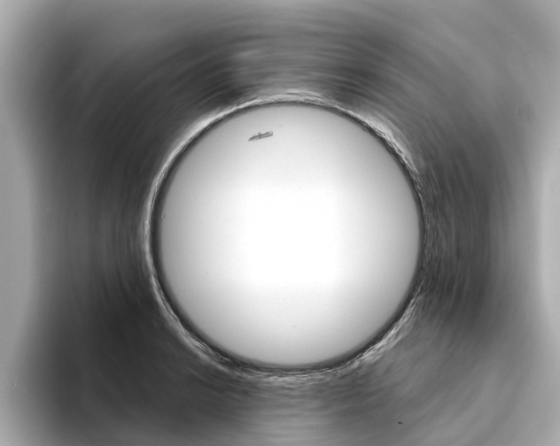 X0000094331038200711021127