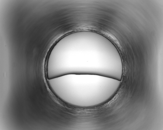 X0000094331039200711021127