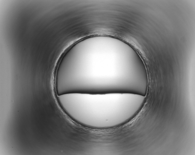 X0000094331040200711021127