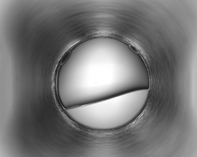 X0000094331042200711021127
