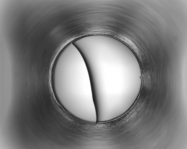 X0000094331043200711021127