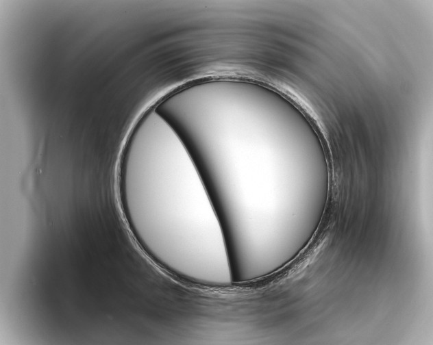 X0000094331045200711021127