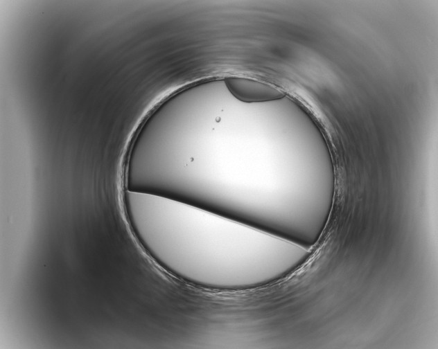 X0000094331048200711021127